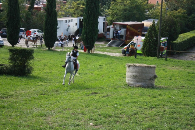 Preparazione di cavalli e cavalieri ai concorsi